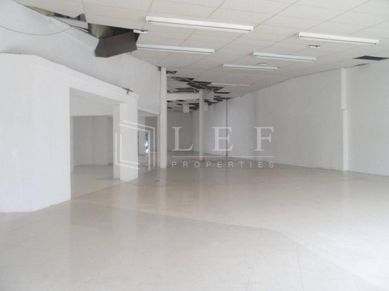 Lef Properties