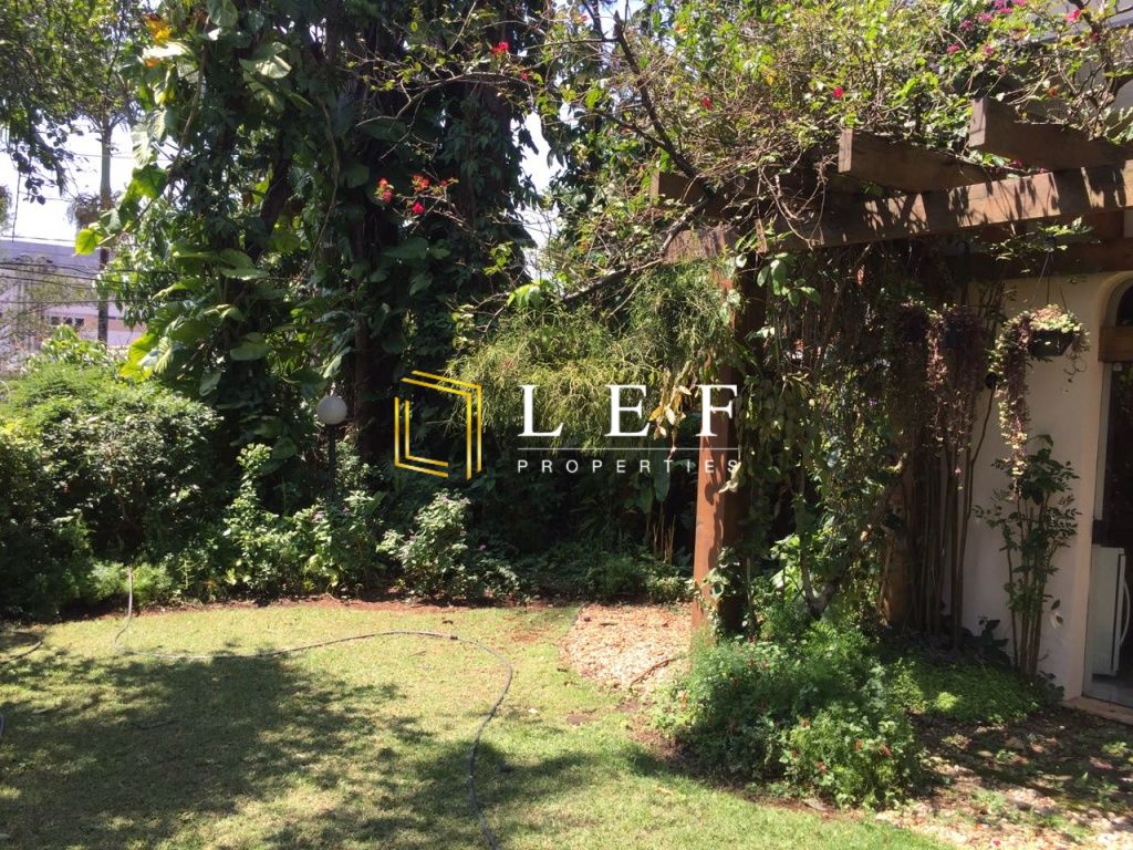 Lef Properties