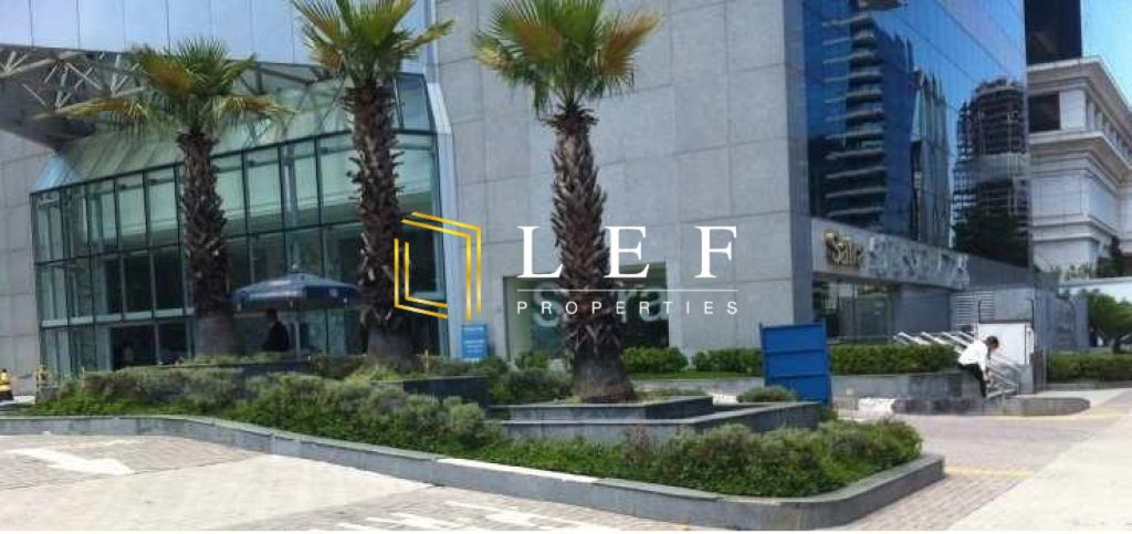 Lef Properties