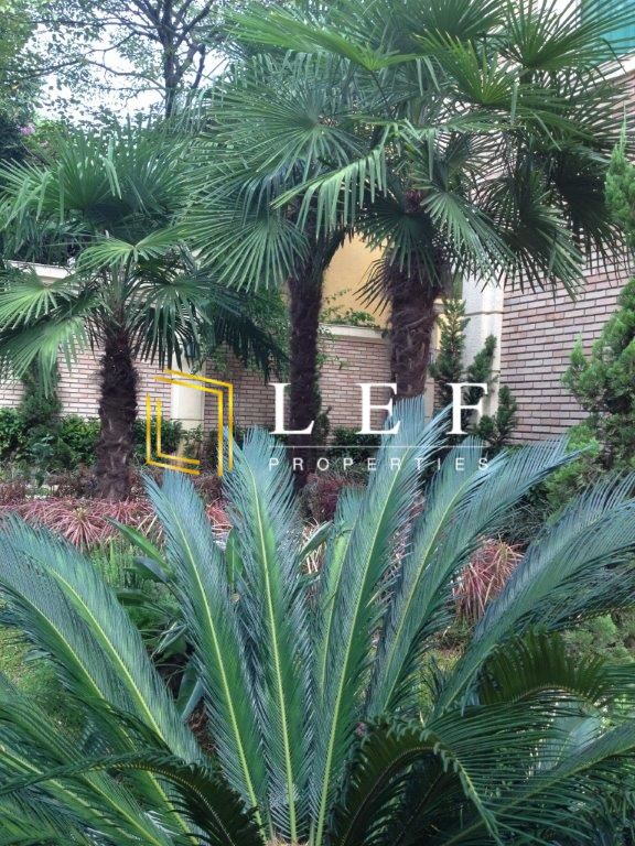 Lef Properties