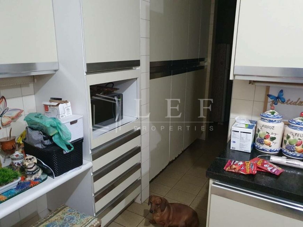 Lef Properties