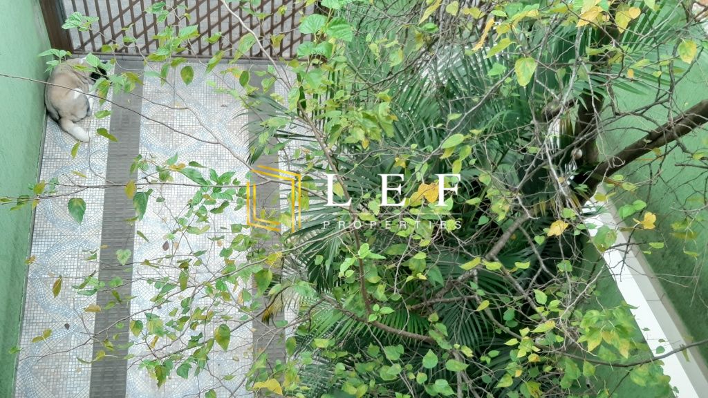 Lef Properties