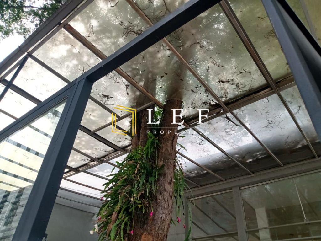 Lef Properties