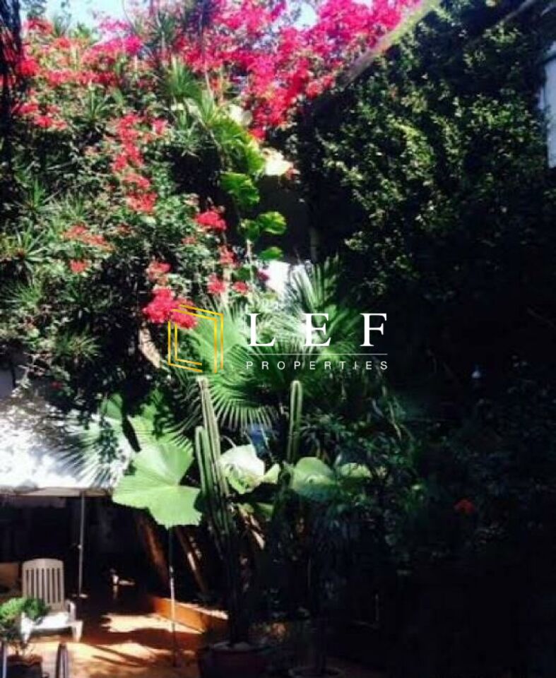 Lef Properties