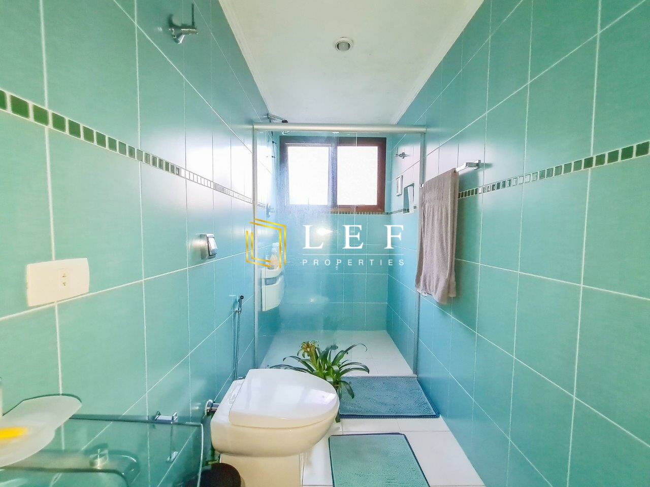 Lef Properties