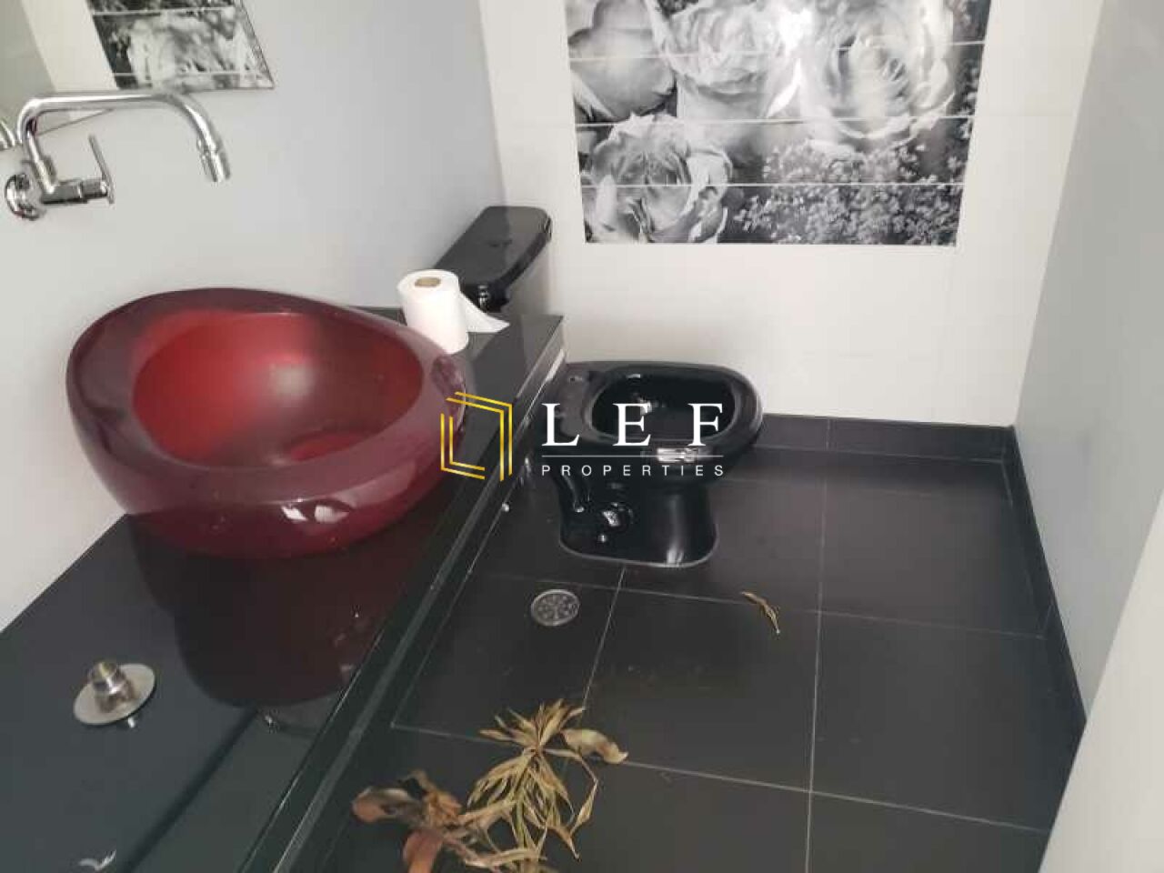 Lef Properties