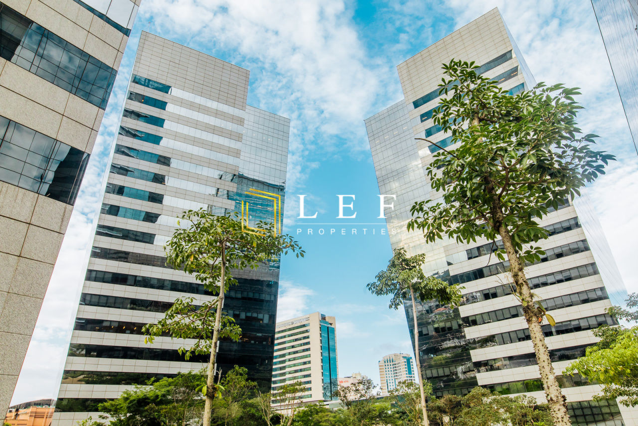 Lef Properties