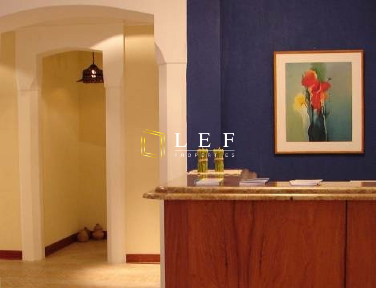 Lef Properties