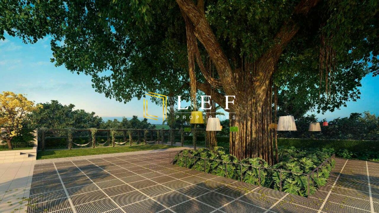 Lef Properties
