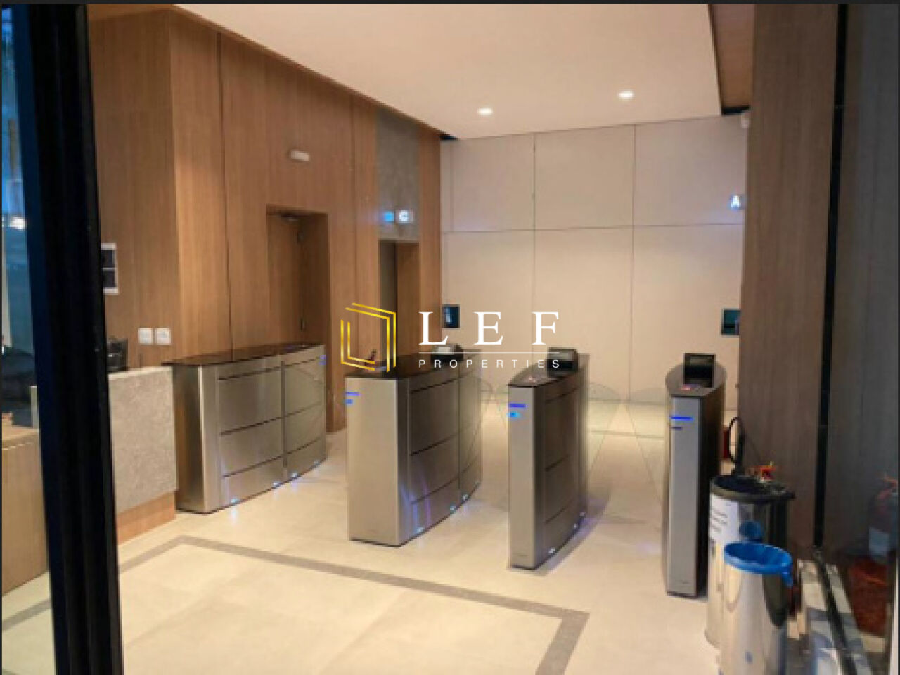 Lef Properties