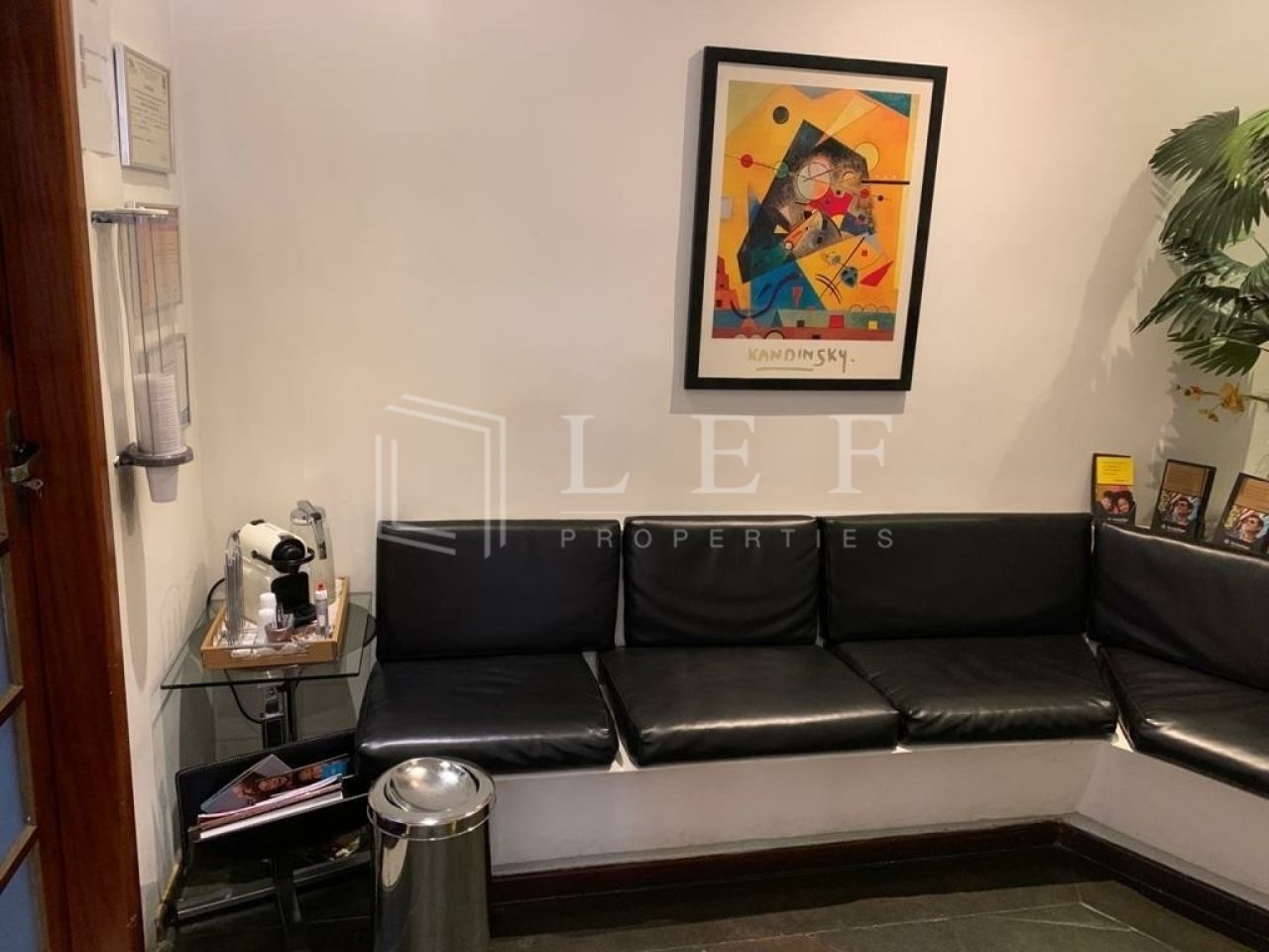 Lef Properties