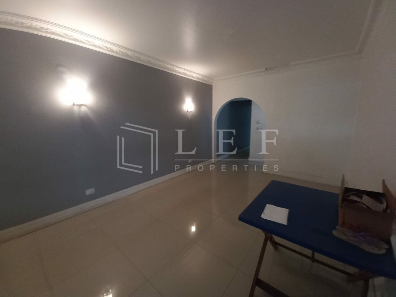 Lef Properties
