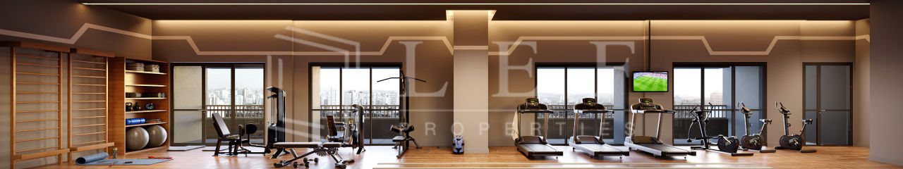 Lef Properties