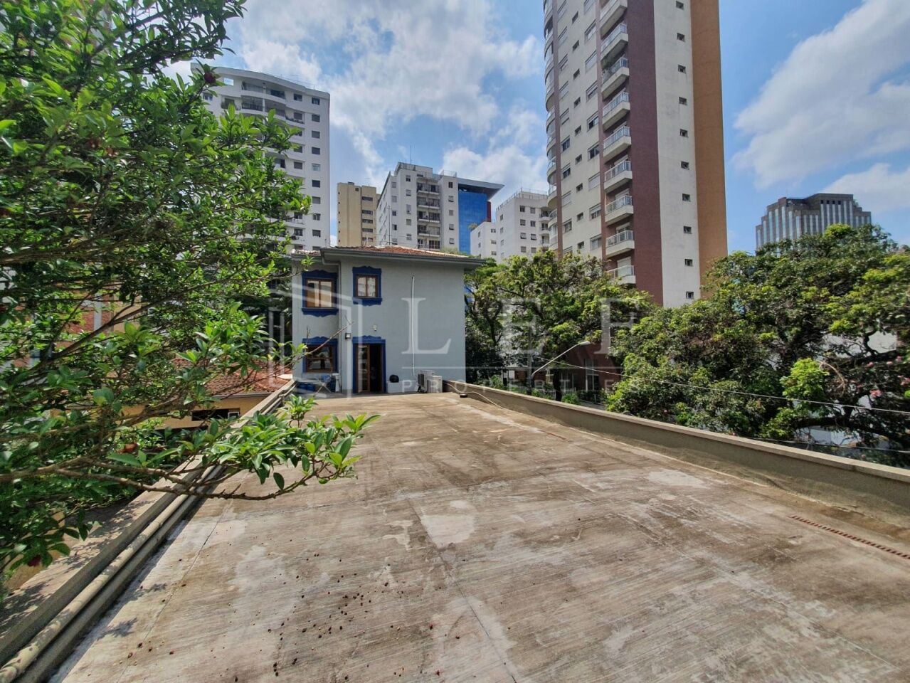 Lef Properties