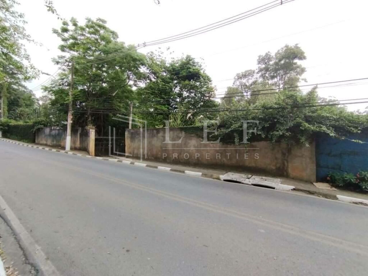 Lef Properties