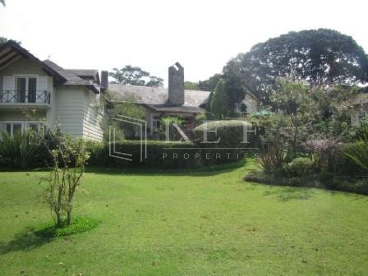 Lef Properties