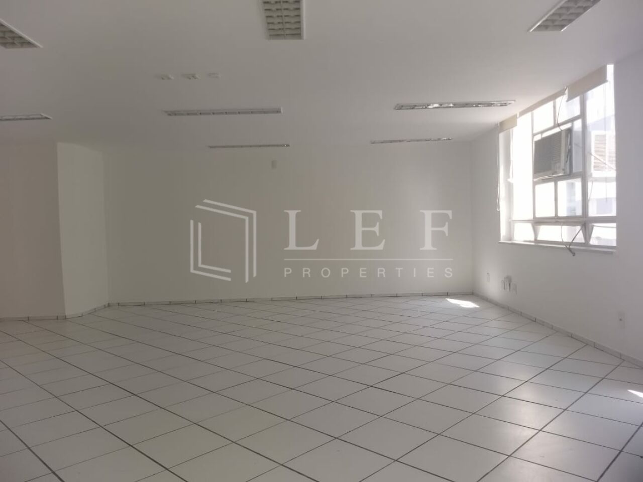 Lef Properties