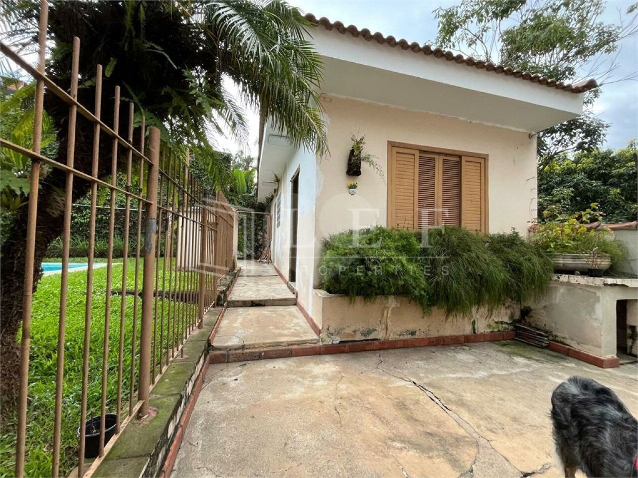 Lef Properties
