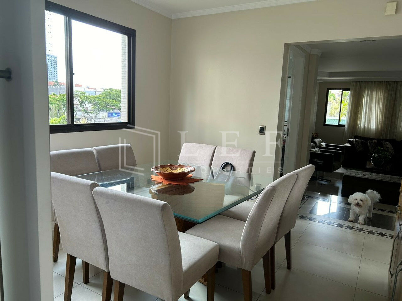 Lef Properties