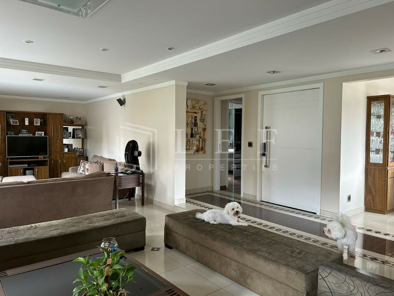 Lef Properties