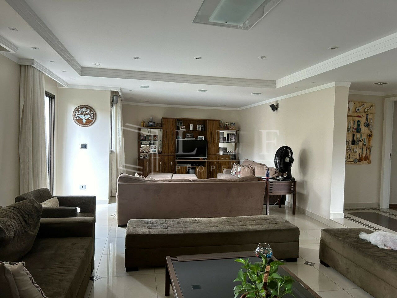 Lef Properties