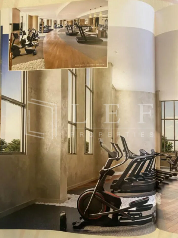 Lef Properties