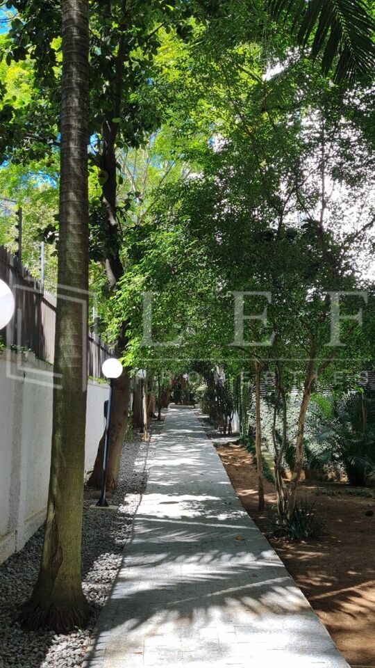 Lef Properties