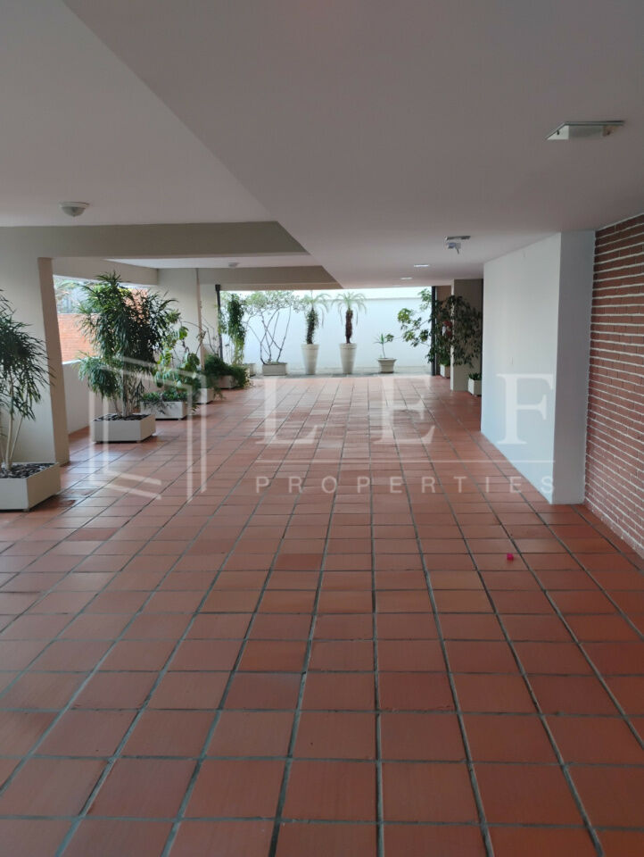 Lef Properties