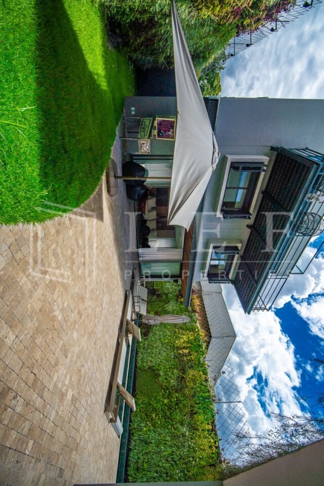 Lef Properties