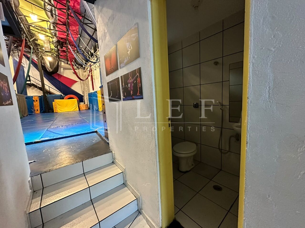 Lef Properties