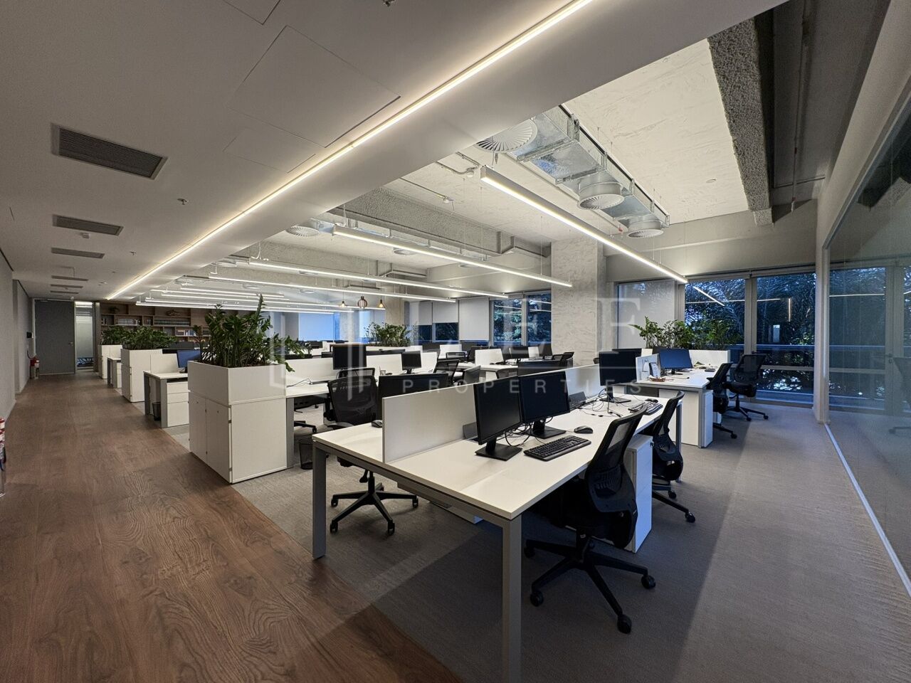 Lef Properties