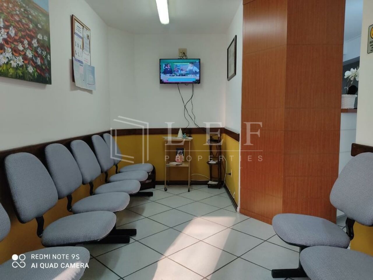 Lef Properties