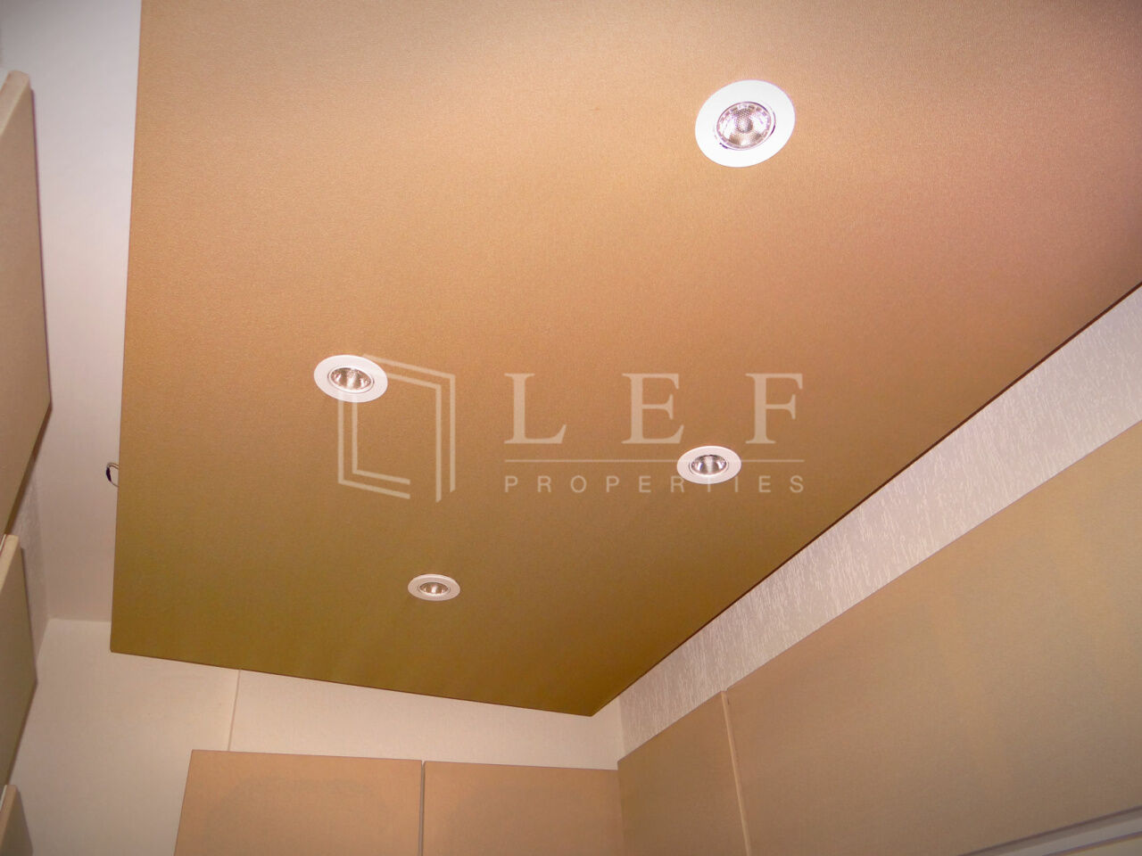 Lef Properties