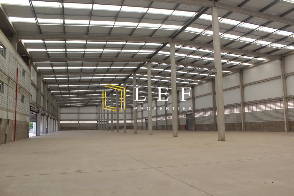 Lef Properties