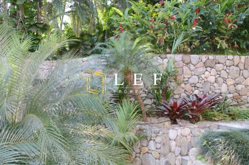Lef Properties