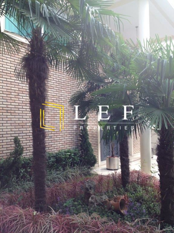 Lef Properties