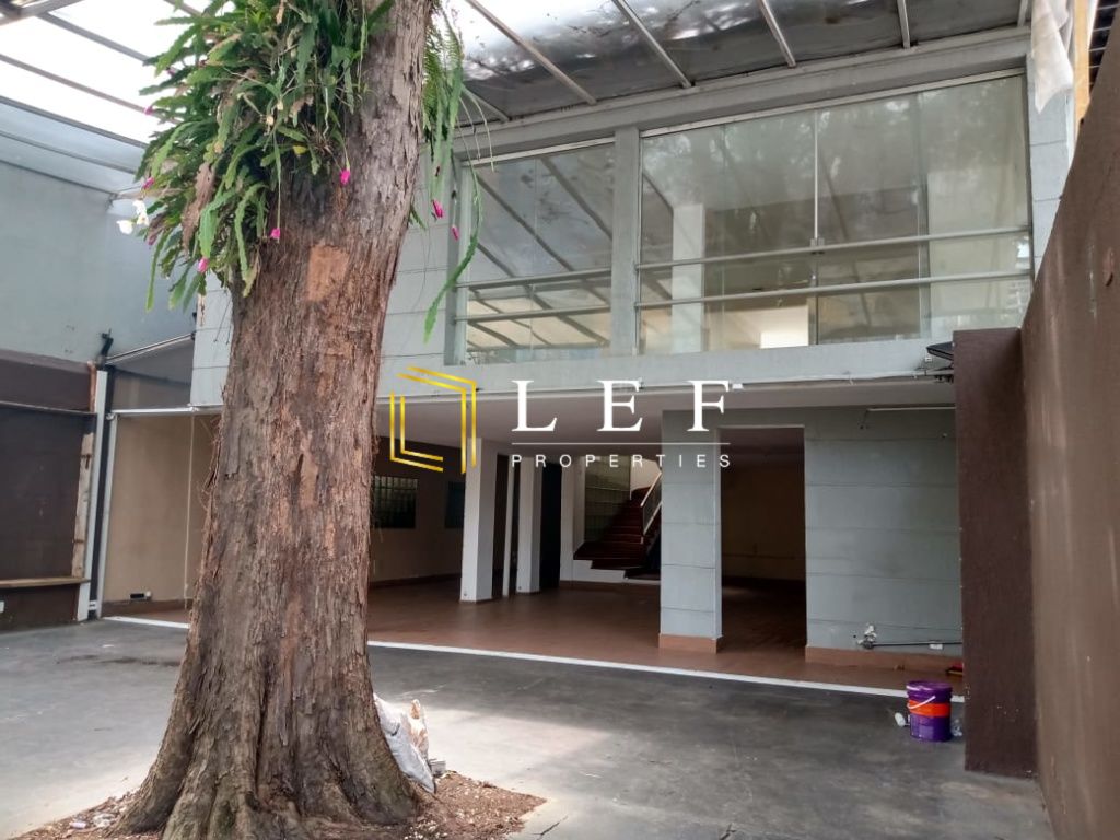 Lef Properties