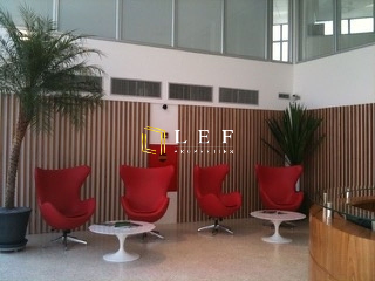 Lef Properties