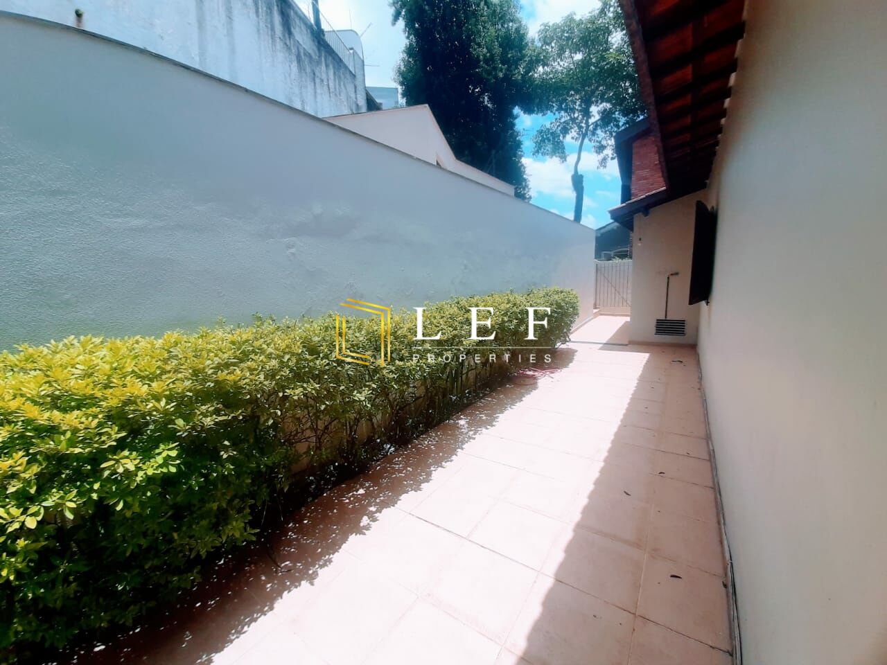 Lef Properties