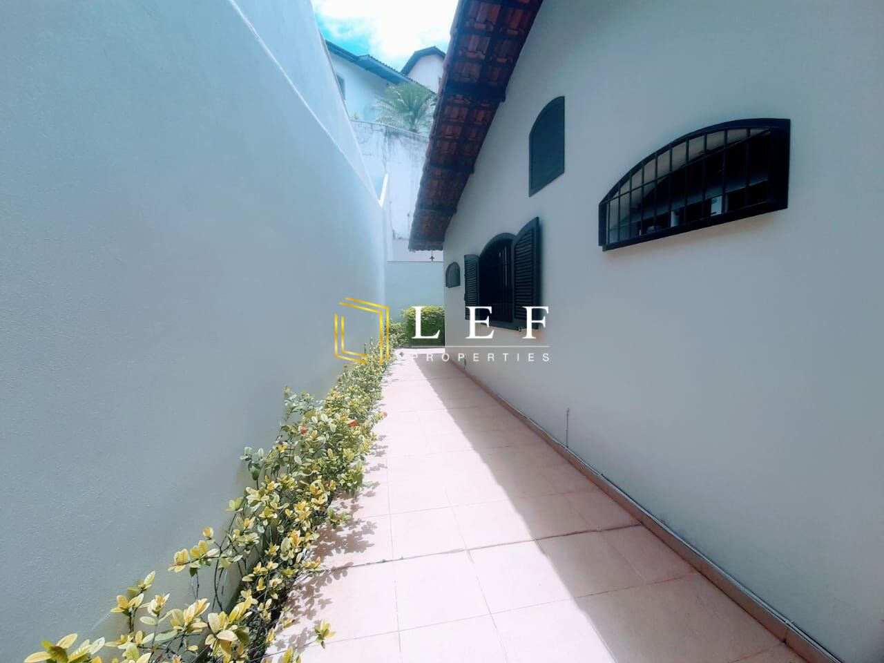 Lef Properties