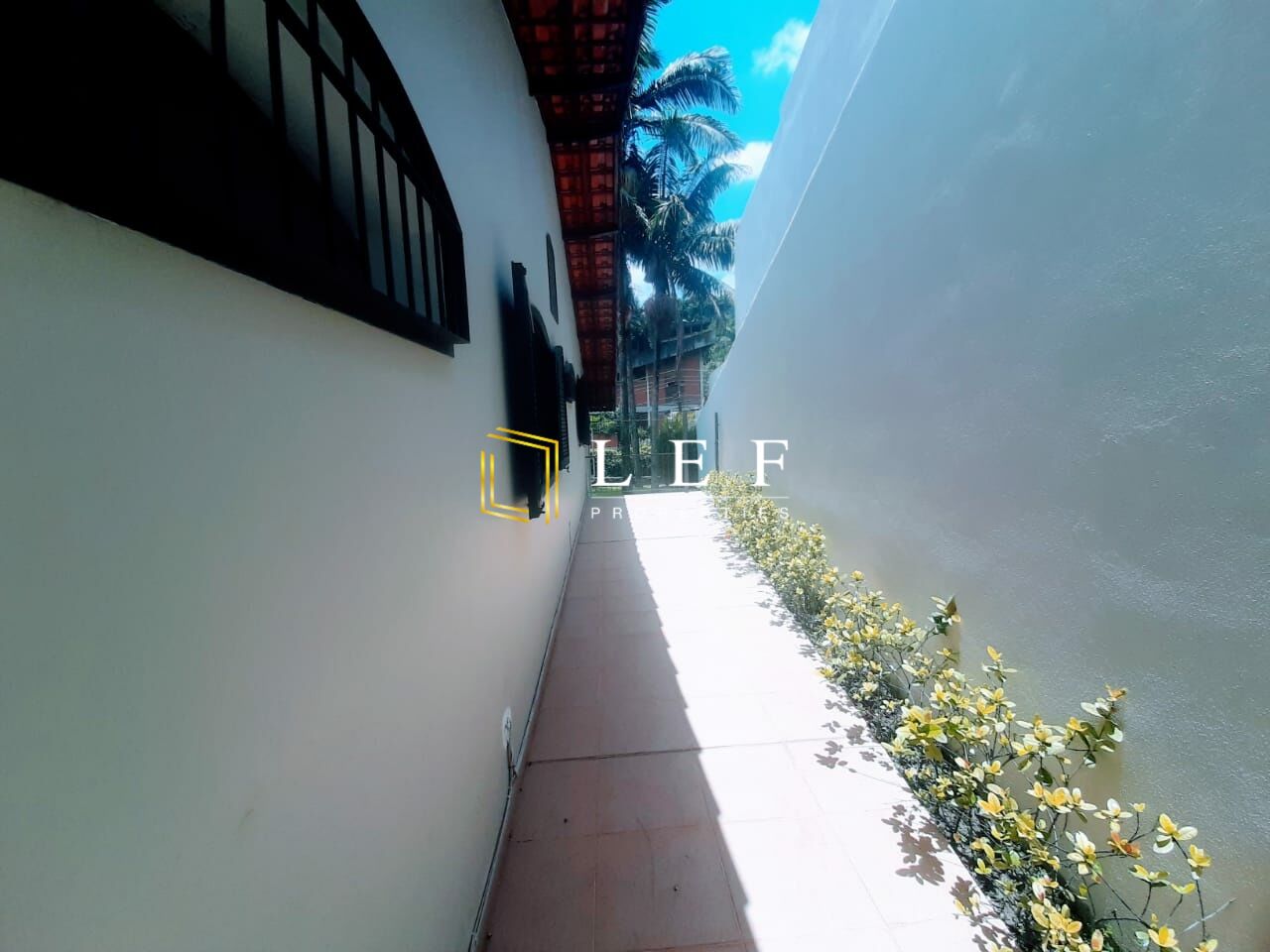 Lef Properties
