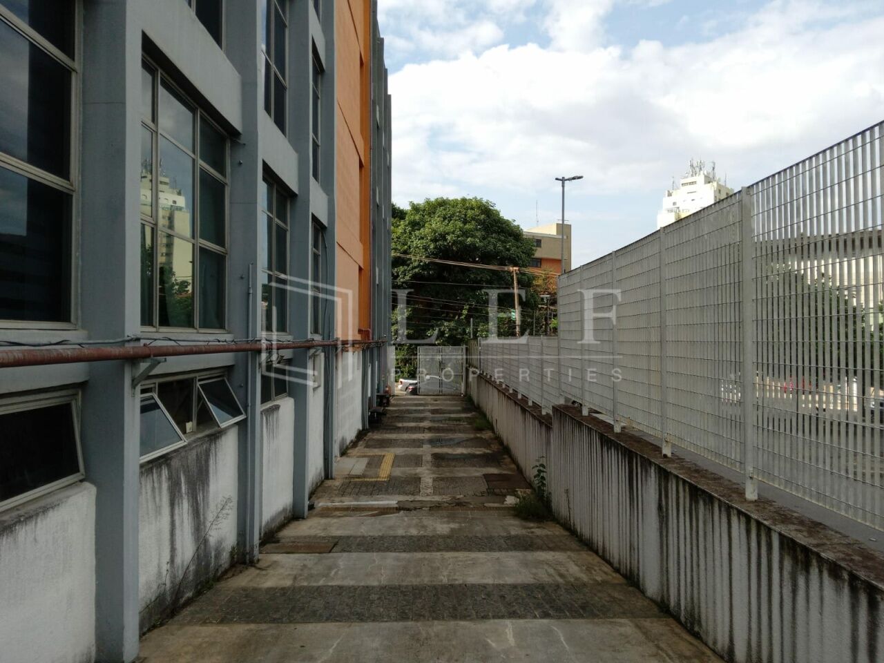 Lef Properties