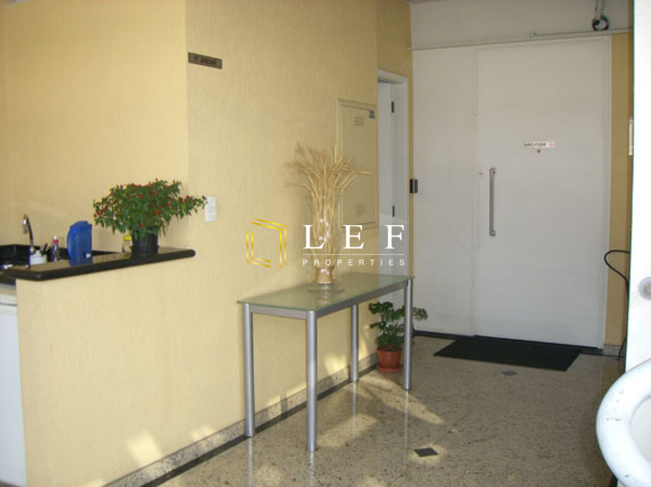 Lef Properties