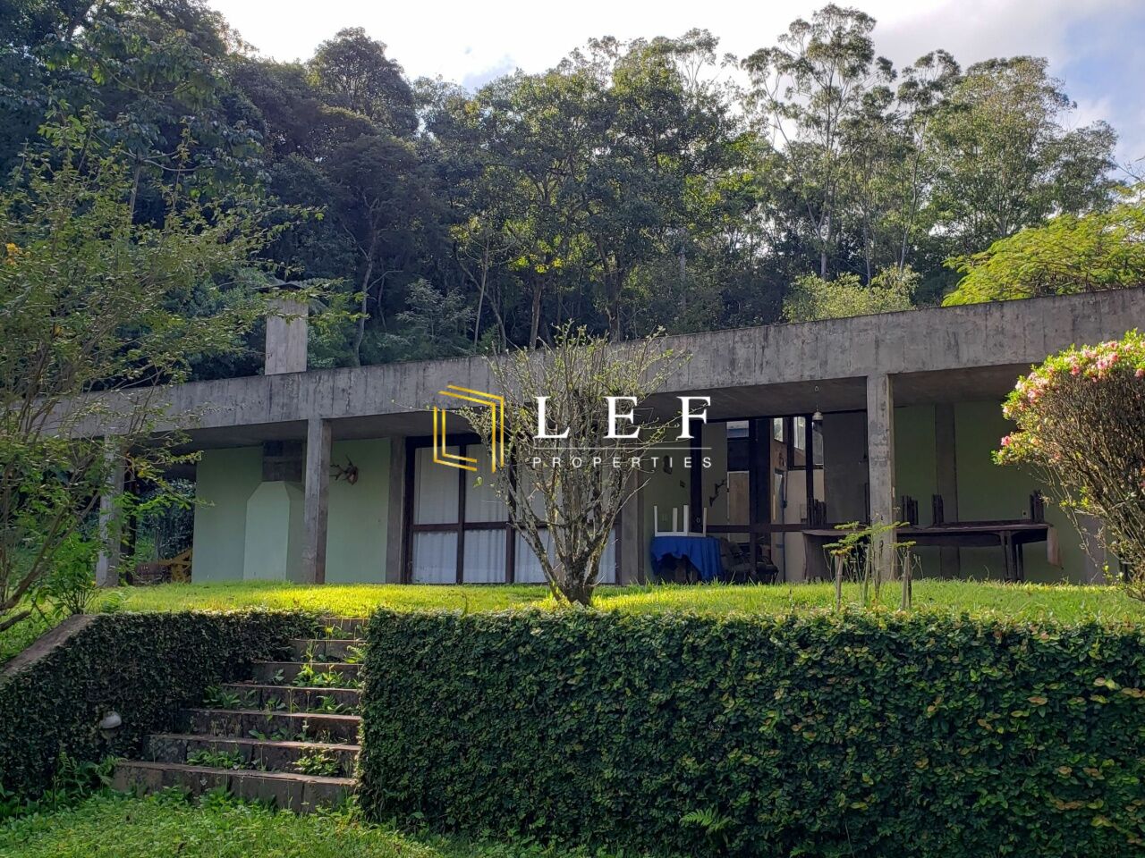 Lef Properties