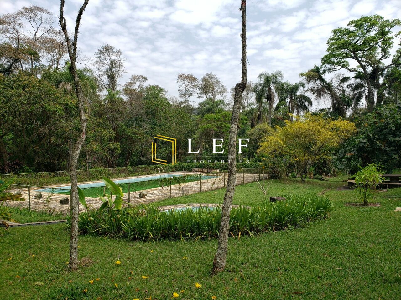 Lef Properties