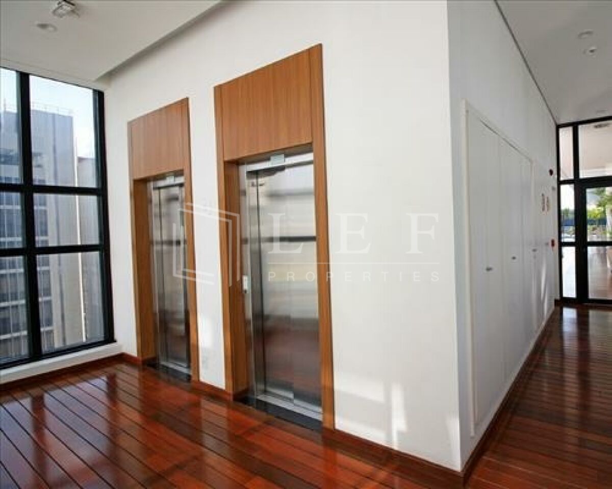 Lef Properties