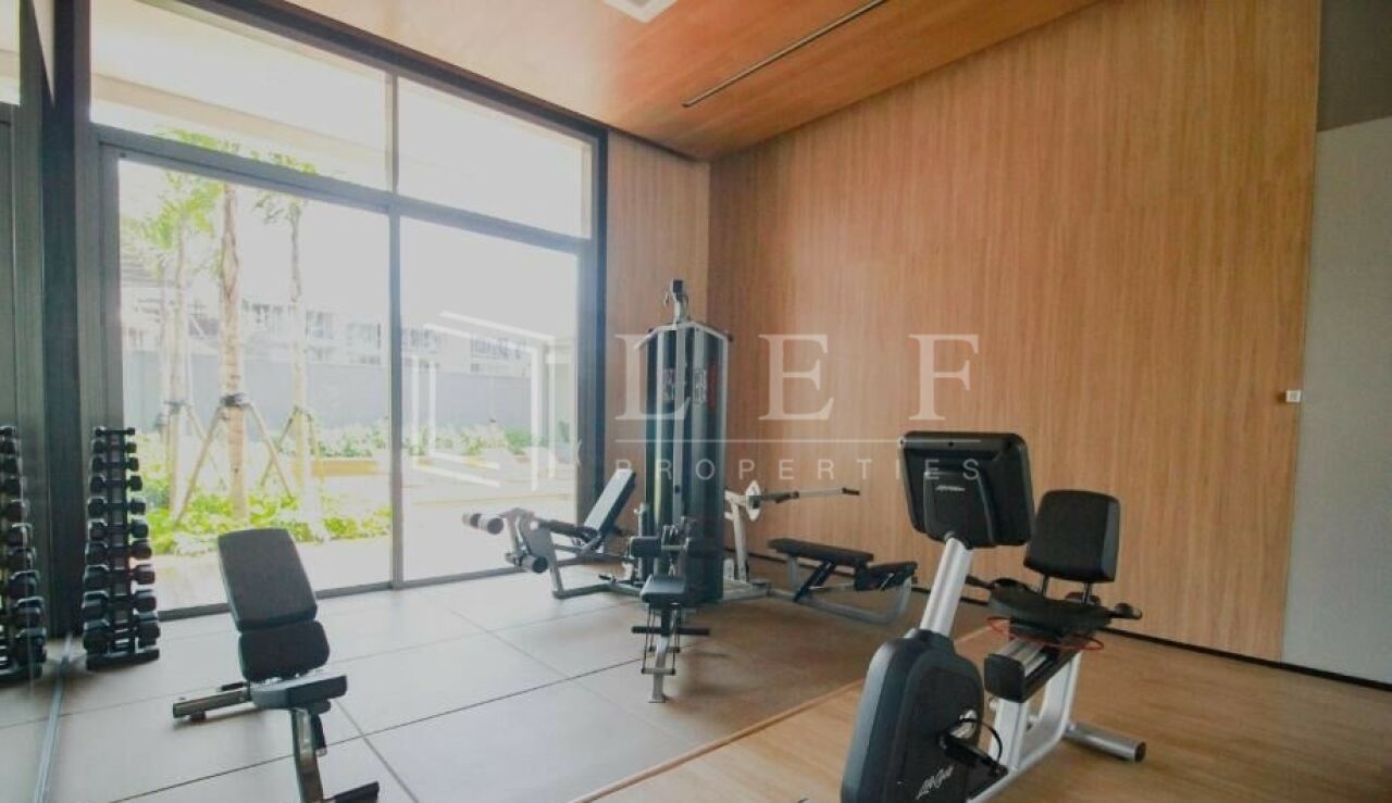 Lef Properties