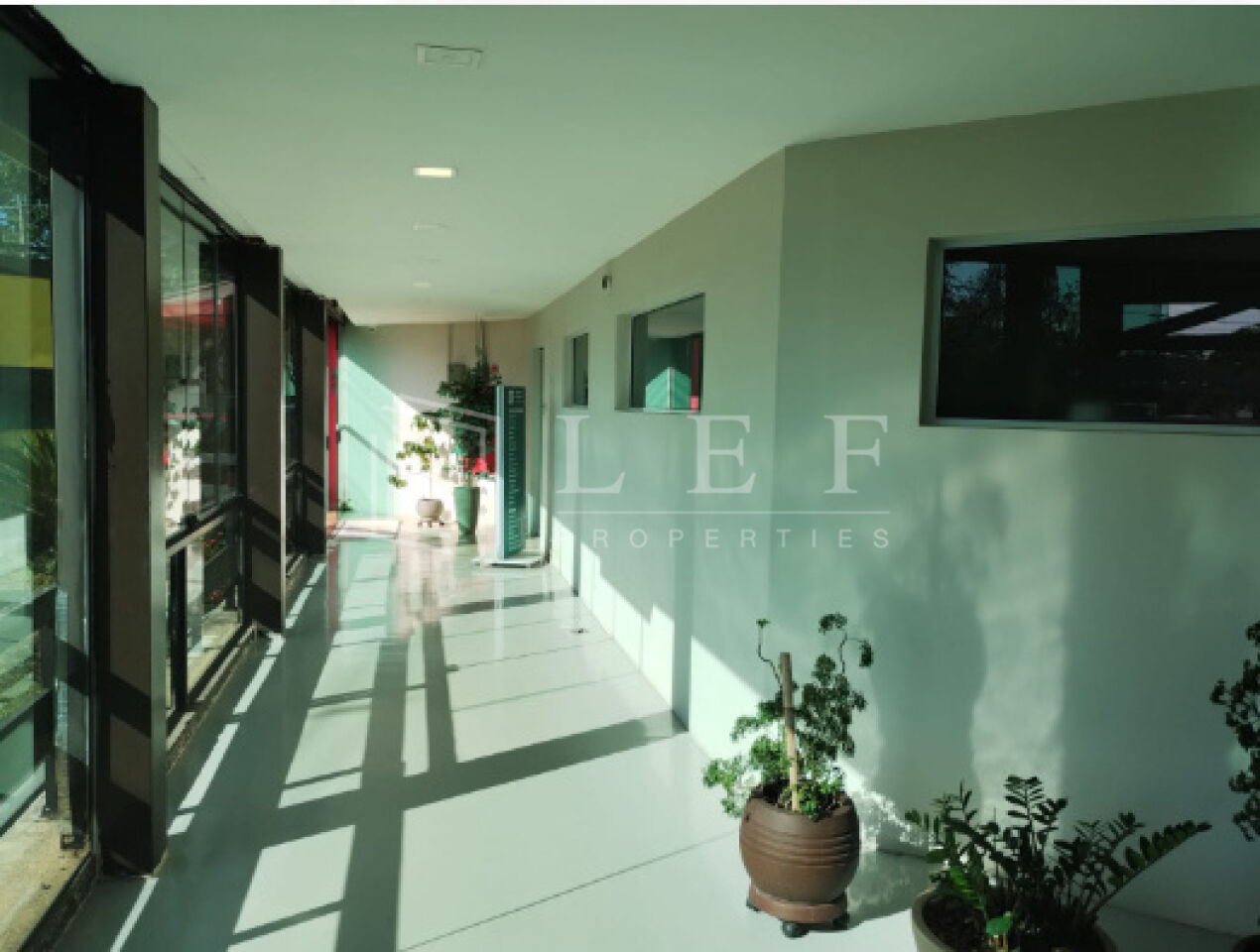 Lef Properties