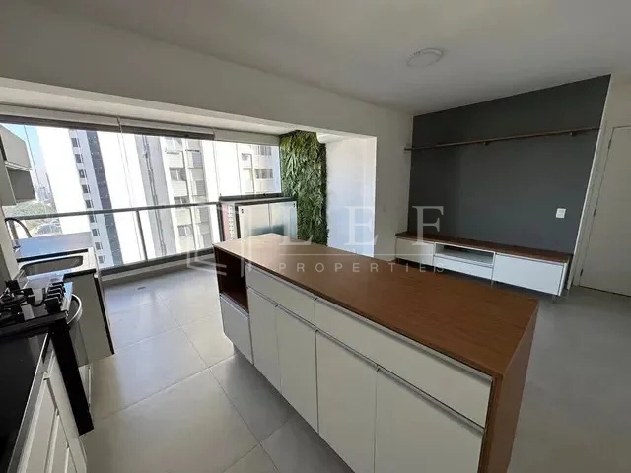 Lef Properties