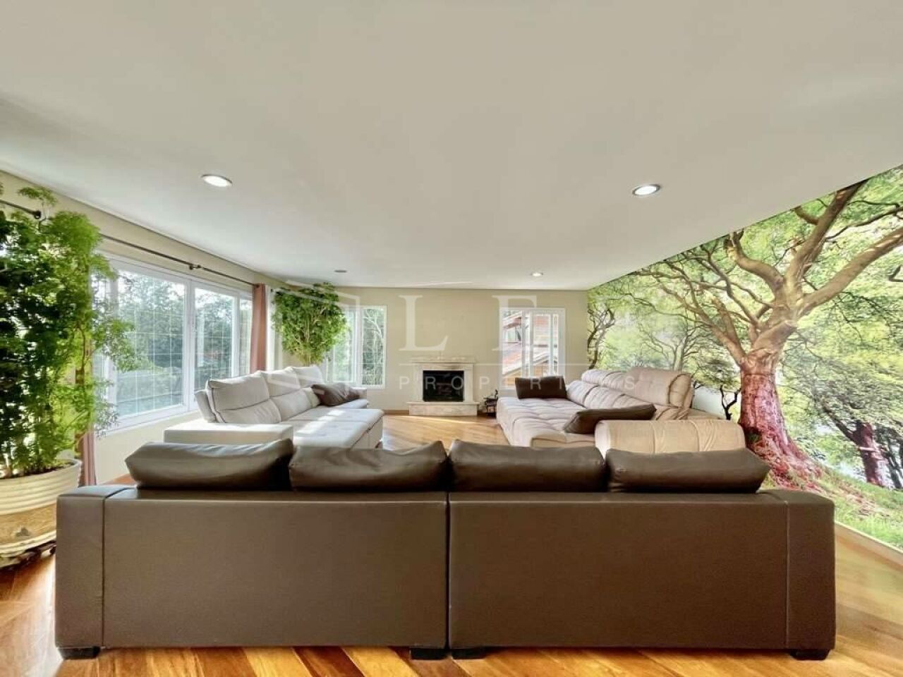 Lef Properties